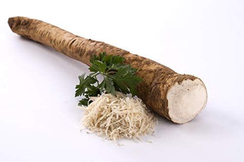 Meerrettich | Kren | Horseradish - Frische Stangenware (naturbelassen, 1 kg)