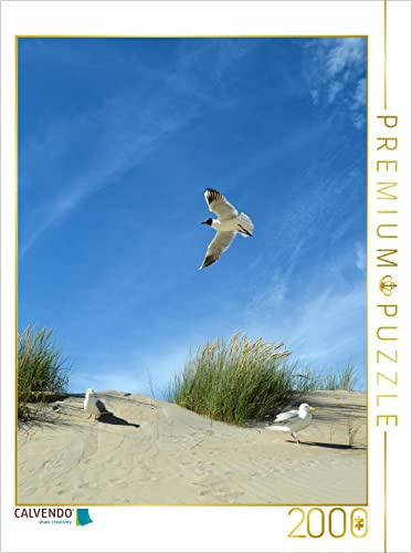 Puzzle · Möwen und Seeschwalbe in Einer Düne 2000 Teile Puzzle hoch | Seeschwalbe im Anflug · 2000 Teile · Lege-Größe 90 × 67 cm · CALVENDO Puzzle