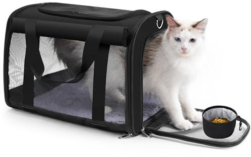 TWDEPART Katzentragerucksack (schwarz)