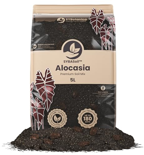Sybotanica - Alokasien-Erde 5 L – Premium Coco Blumenerde für Alocasia, Colocasia, Caladium & mehr, Torffrei & 180 Tage Bio-Dünger – Für Zimmerpflanzen-Liebhaber