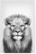 artboxONE Poster 60x40 cm Schwarz-weiß Tiere Portrait of a Lion - Bild Lion Animal Portrait King