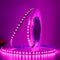 XUNATA LED Strip 5M Pink, 12V 2835 SMD 600 LEDs Super Hell LED Band Selbstklebend LED Stripe Leiste Lichtband Innenbeleuchtung für Küche,unter Schrank,Party,Haus,Weihnachten Deko (Pink)