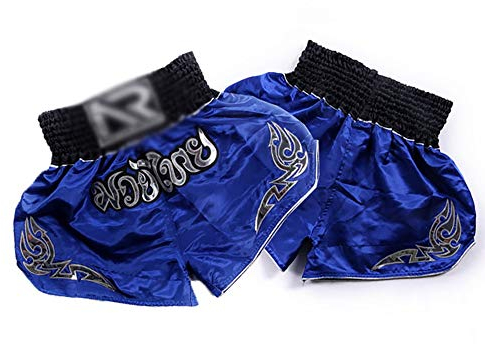 JTRHD Muay Thai Käfighose Mixed Martial Arts Training Sanda Kampf Martial Arts Uniformen Boxing Sports Hosen Muay Thai Shorts Männer MMA Dehnbar Elastisch (Farbe : Blue, Size : XL)