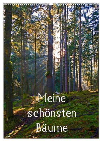 Meine schönsten Bäume (Wandkalender 2026 DIN A2 hoch), CALVENDO Monatskalender: 12 schöne Bäume im Salzburger Land (CALVENDO Natur)