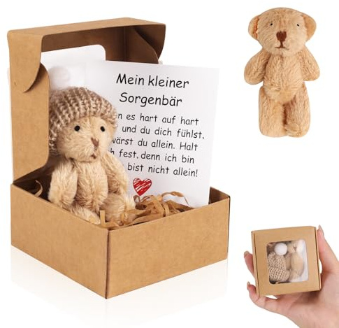 Trukafie Teddybär Klein Pocket Hug Mini Plüschtiere in Geschenkbox Mit Karte Positive Geschenke für Geburtstag Weihnachtsfeier Babyparty Freunde Kollegen (Braun)