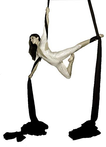 F.Life Aerial Silks Hardware-Kit, mittlere Dehnbarkeit für Akrobatik-Seide, Aerial Yoga, Aerial Dance, 360 Grad drehbar, Höhenverstellgurt, tragbare Aufbewahrung (schwarz)