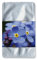 Bull & Bear 10er Set Plant Bag Vergissmeinnicht inkl. Pflanzanleitung
