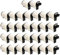 Yellow Yeti 30x DK-22243 102mm x 30,48m Endlos-Etiketten kompatibel für Brother P-Touch QL-1050 QL-1050N QL-1060N QL-1100 QL-1110NWB