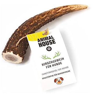 ANIMAL HOUSE - Corna di Cervo per Cani Intere - Masticativo Naturale al 100% - Rafforza Igiene Orale - Resistenti e Duraturi - Disponibili in Tutte Le Taglie (S)