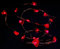 hellum LED Lichterkette Herz-en Batterie-betrieben(2AA), 20er rote Herzen mit rote LEDs Kupfer Draht Lichterkette innen, 110cm Lichtlänge für Valentinstag Hochzeit Jahrestage Muttertage Deco 570854