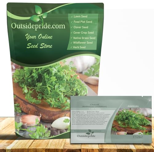 Outsidepride Chervil Herb & Microgreens Seeds - 5000 Pcs. Annual, Adaptable & Versatile, Herb Seeds for Planting Aromatic, Flavorful Green Foliage for Culinary Creations & Herb Gardens