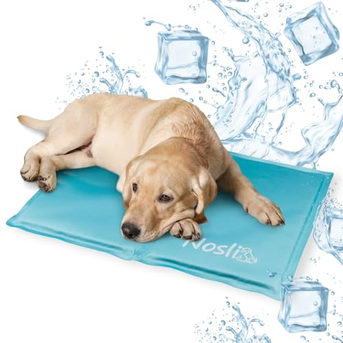 Nosli Kühlmatte für Hunde, Katzen & Menschen (50x65cm) • Selbstkühlende Hundematte mit Gel • Gel-Kühldecke Hund • Matte für Haustiere & Mensch