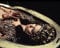 worldphotographs Blood from the Mummy's Tomb (1971) Valerie Leon Hammer Horror 10x8 Photo
