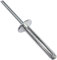 AERZETIX - C48175 - Lot de 100 Rivets aveugles Ø5x30mm à tête large 14mm - DIN 7337 C - rivet pop à rupture de tige - en aluminium/acier