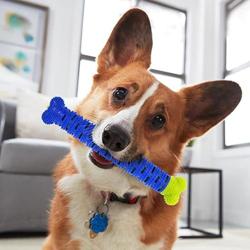 SHOP-STORY - CHEWBRUSH : Kauknochen für Hunde, zum Kauen, Spielzeug mit Bürste und Reinigt die Zahnfleisch, flexibel und robust