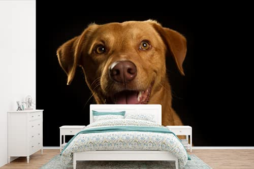 Selbstklebend Tapete Wandpapier Wandaufkleber Fototapete Tapeten Wanddeko 600x400 cm Hund - Haustiere - Porträt