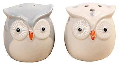 WAIT FLY Owl Ceramic Salt-Shakers, 2-Piece Set - Gray/White