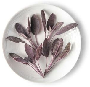 Fresh Origins Purple Sage Herb Tops - Gourmet Fresh Herb Tops for Culinary Use - 4 x 3oz Containers