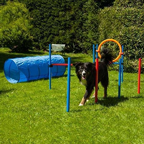 Procyon Dog Agility Set K2 PRO