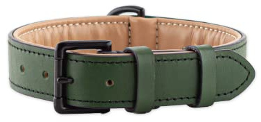 Brute Strength – Hundehalsband aus Leder – Dunkelgrün – XXL · 66–73 cm | Weich gepolstertes Echtleder-Halsband für Hunde; Messingschnalle, D-Ring und separater Ring für die Hundemarke