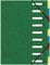Exacompta 55093E Premium Ordnungsmappe Harmonika. Aus extra starkem Colorspan-Karton DIN A4 9 Fächer und 2 Gummizüge mit Indexfenster und dehnbarem Rücken Register-Mappe grün