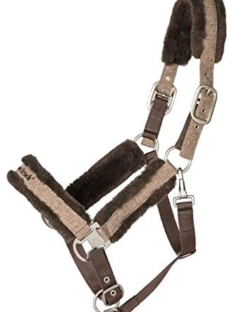 Back on Track Haze Collection Halfter Gr. Full Brown oder Grey (Brown)
