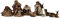 ZICOM Ankleidefigurenset Jerusalem, Krippenfiguren barock ca. 13cm 9-TLG. Polyresin bekleidet