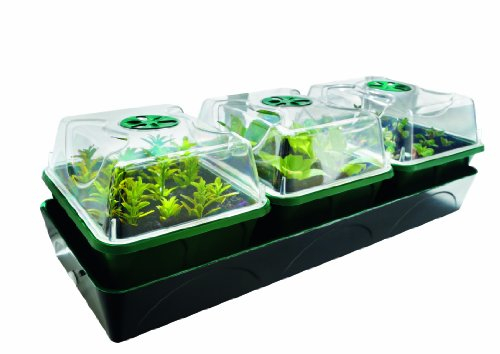 Bio Green HOL 3 Hollandia Serre D'intérieur Chauffée avec Réservoir d'eau