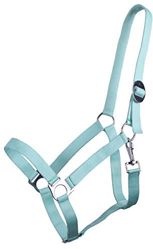 ARBO-INOX® Halfter mit Schiebeschnalle Stallhalfter Basic (Mini Shetty, Ice Green)