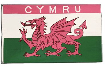Flaggenfritze Flagge Wales Cymru pink - 90 x 150 cm