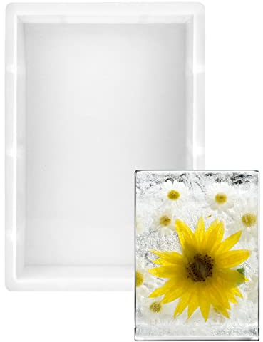 QWORK® Grands Moules Rectangle pour Résine Époxy, Moules en Silicone pour DIY Plateaux Plaques Décorations de Bureau 24,5 x 17 x 5 cm