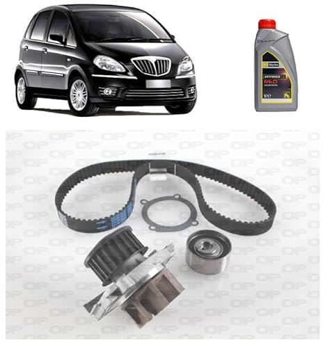 Kit distribuzione + p acqua + antigelo per Lancia Musa 1.4 benzina/GPL 2004-2012