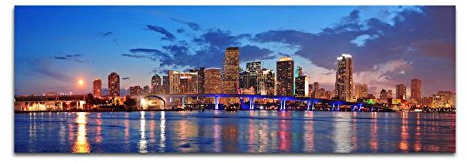 Paul Sinus Art Bilder Wand Bild - Kunstdruck 120x40cm Miami Skyline Wasser Spiegelung Dämmerung