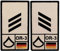 Café Viereck ® Hauptgefreiter Bundeswehr Rank Patch mit Dienstgrad - Gestickt mit Klett - 9,8 cm x 5,6 cm – Sand – 2 Stück Linke und Rechte Seite