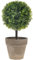 Funzhan 27CM künstliche Buchsbaum Topiary Topfpflanze Dekoration gefälschte Pflanze Greenery in Topf Simulation Bonsai Modell lebensechte Gras Ball Pflanze lebendige getöpferten Garten Hochzeit