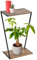 GEEZY 2 Tier Wooden Plant Stand, 50cm - Tall Tiered Pot Table with Modern Z Shaped Design for Flowers, Candles, Ornaments - Indoor Plant Stands for Living Room, Lounge, Bedroom & Housewarming Gift