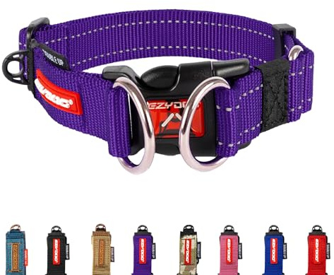EZYDOG Double Up Dog Collar | Dog Collar Small, Medium, Large Dogs, Reflective Dog Collar, Supreme Comfort, Soft Neoprene Material, Strong Nylon Webbing (Small, Purple)
