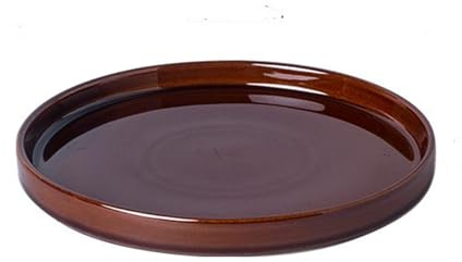 Fzfeiyy Ceramic Plant Saucer 12 Inch, Round Plant Trays for Indoors/Outdoors, Flower Pot Saucers for Holding Water Drips and Soil, Ceramic Drainage Tray for Plant Pot (Brown)