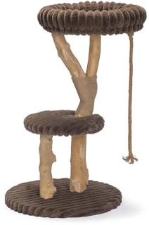 Designed By Lotte Reya, Kratzbaum, Holz, Braun, 60x60x103 cm
