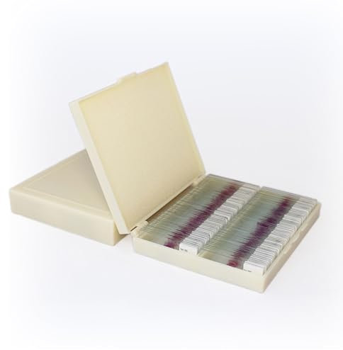 100 Pcs Microscope Slides, Histopathology Slides with Human Cell HE Stain Structural,Transparency, Uniform Dyeing, Clear Imaging, for Lab Biology and Science Study