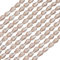 PATIKIL Teardrop Faceted Beads, 650 Pcs Silver Champagne Bicone Birthstone Bead Glass Crystal Assortments Vertical Hole Shape for DIY Crafting Bracelet Necklace Jewelry Making, 4x6mm