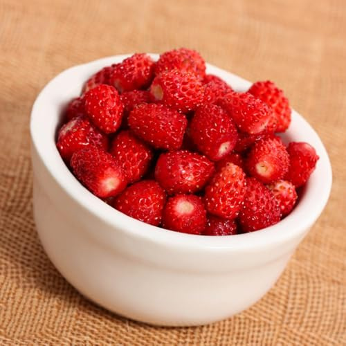 fresa silvestre comprar semillas, orgánicas fresas silvestres orgánicas de para bancales elevados de jardín resistentes 60pcs
