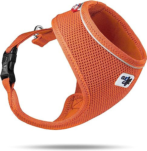 Basic Harness Air-Mesh Orange L
