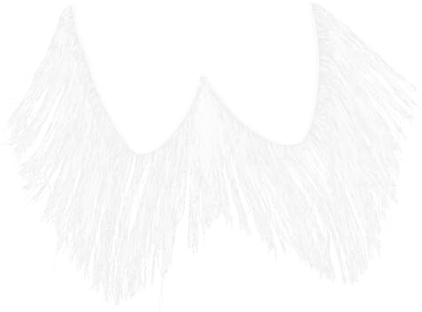 NUOBESTY Quaste Spitze Basic-trim-kollektion Dekorative Fransenquaste Spitzenbesatzband Tanzkostümfransen Fransenbesatz Selber Machen Outfits Vorhang Rock Tanzen Damen Weiß Polyester