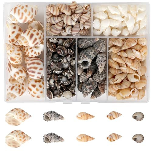 YSWOVUO 150 Stück Gemischte Muscheln zum Basteln, Natürliche Muscheln mit Aufbewahrungsbox, Ungebohrt Muscheln Deko für Armbänder, Vase Füllstoffe, Fisch Panzer, DIY Kunsthandwerk Kerze Herstellung