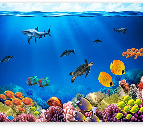 murando - Vlies Fototapete Unterwasserwelt 200x140cm - Foto Tapete Schlafzimmer Wohnzimmer Moderne Vliestapete XXL Wandtapete Motivtapeten 3d Effekt Wand Dekoration - Ozean Fisch Meer Natur 10110903-3