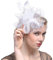DRESHOW Fascinators Hut Blume Mesh Bänder Federn auf einem Stirnband und einem geteilten Clip Cocktail Tea Party Headwear für Mädchen und Frauen, - Weiß - Gr. Einheitsgröße
