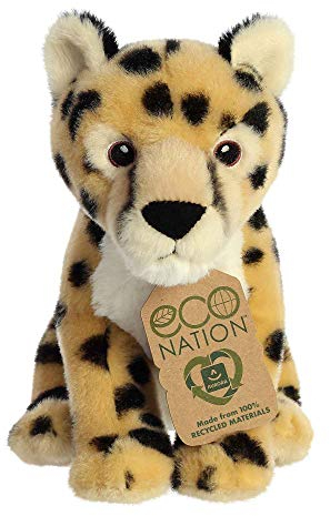 Aurora - Eco Nation - 9 Cheetah