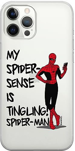 ERT GROUP Handyhülle für iPhone 12 PRO MAX Original und offiziell Lizenziertes Marvel Muster Spider Man 024 optimal an die Form des Handy angepasst, teilweise transparent