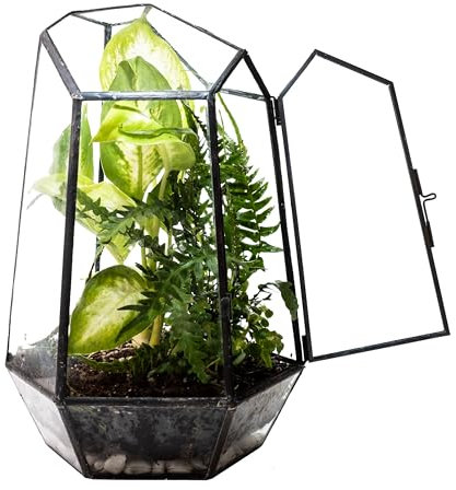 KraftStories Klarglas-Terrarium mit Tür | Behälter mit geometrischem Design | idealer Übertopf für Moos und Zimmerpflanzen | hält die Luftfeuchtigkeit | Selbstpflegendes Indoor-Garten-Ökosystem (nur